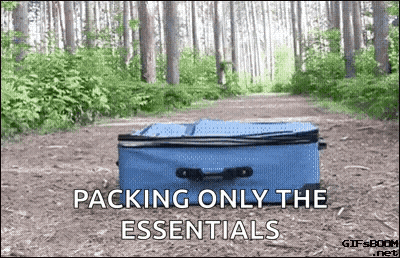 A Blue Suitcase Is Sitting On A Dirt Path In The Woods . GIF