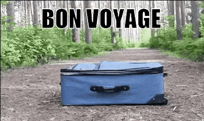 A Blue Suitcase Is Sitting On The Ground In The Middle Of A Forest With The Words `` Bon Voyage '' Written On It . GIF