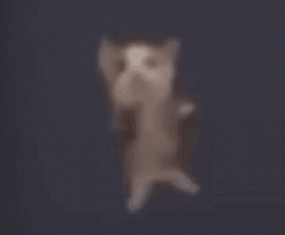 A Blurred Image Of A Bird Flying In The Air GIF