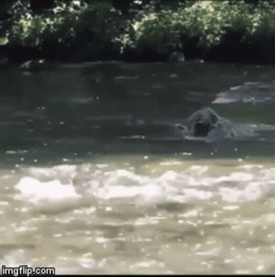 A Blurred Image Of A Body Of Water With The Words Imgflip.com At The Top GIF