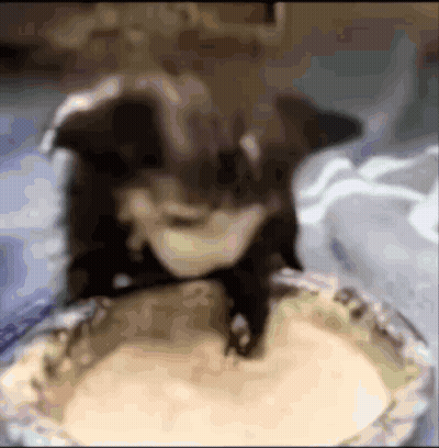 A Blurred Image Of A Cat Sitting On Top Of A Pie GIF