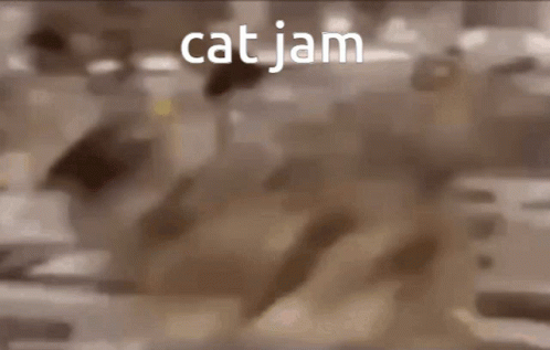 A Blurred Image Of A Cat With The Word Cat Jam Written On It GIF