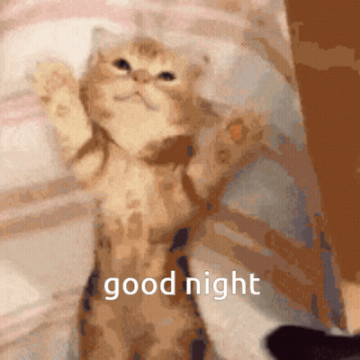 A Blurred Image Of A Cat With The Words " Good Night " On The Bottom GIF