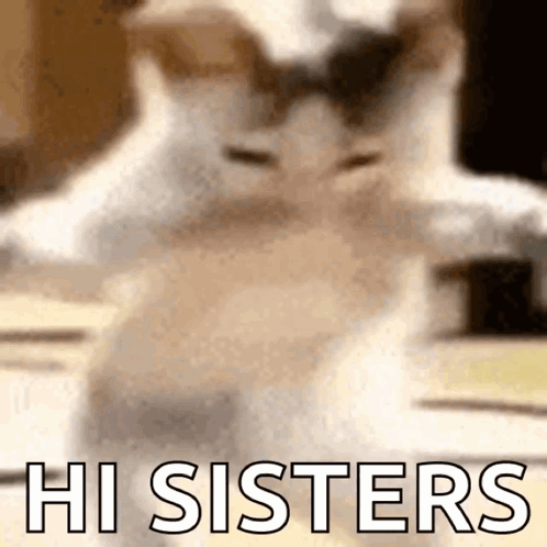 A Blurred Image Of A Cat With The Words Hi Sisters Written On The Bottom GIF