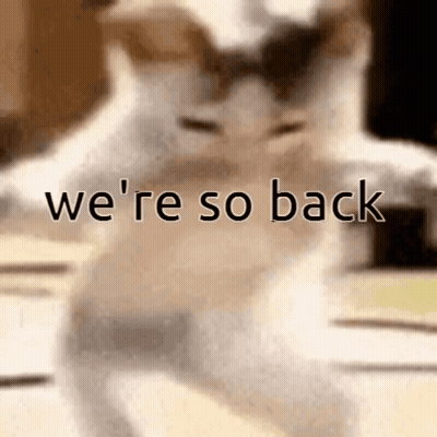 A Blurred Image Of A Cat With The Words We 'Re So Back Written On It . GIF