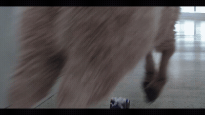 A Blurred Image Of A Dog 'S Paw And A Can Of Beer GIF