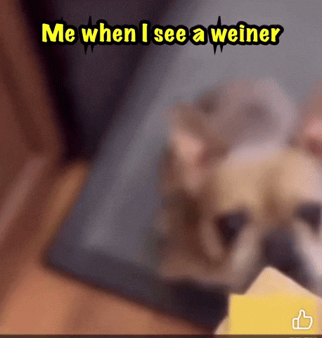 A Blurred Image Of A Dog With The Words Me When I See A Weiner Above It GIF