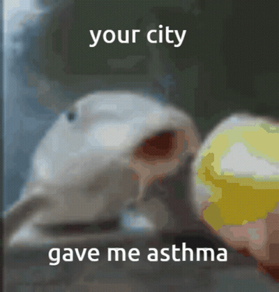 A Blurred Image Of A Dog With The Words " Your City Gave Me Asthma " On The Bottom GIF