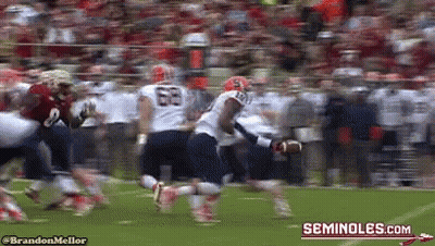 A Blurred Image Of A Football Game With The Words Seminoles.com On The Bottom GIF