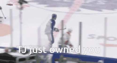 A Blurred Image Of A Hockey Game With The Words Tj Just Owned You GIF