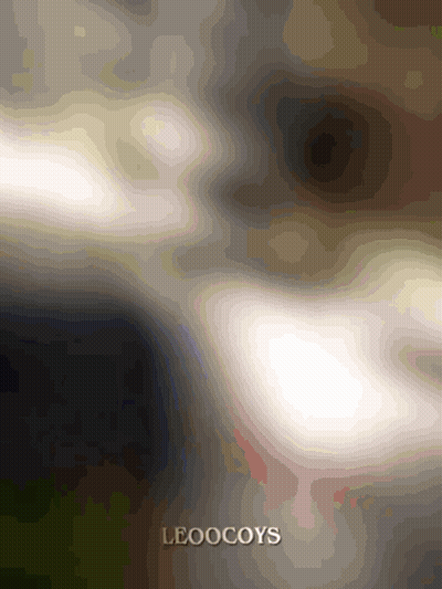 A Blurred Image Of A Person 'S Face With The Word Leoocoys On The Bottom Right GIF