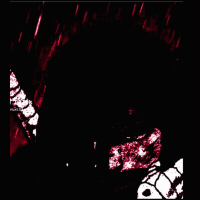 A Blurred Image Of A Person 'S Face With Tik Tok Written On The Bottom Right GIF