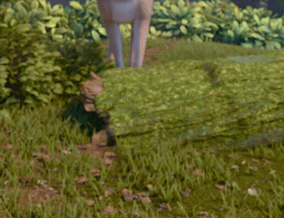 A Blurred Image Of A Person 'S Feet In The Grass GIF