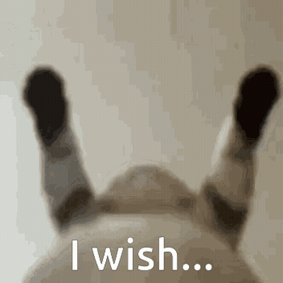 A Blurred Image Of A Person 'S Legs With The Words " I Wish " Written Below Them GIF
