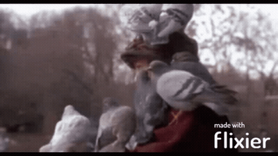 A Blurred Image Of A Person Surrounded By Pigeons With The Words Made With Flixier In The Corner GIF