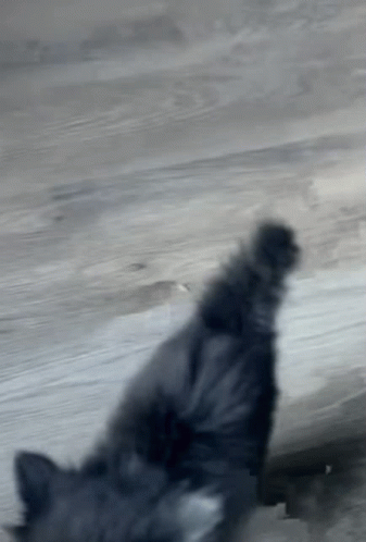 Blurred Image Of Person Walking On Beach GIF