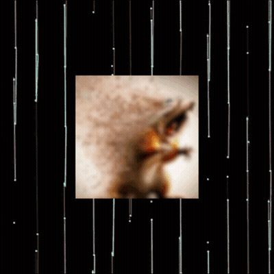 A Blurred Image Of A Person With A Hat On A Black Background GIF