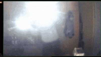 A Blurred Image Of A Room With The Word Live On The Bottom GIF