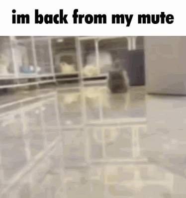 A Blurred Image Of A Room With The Words `` Im Back From My Mute '' Written On It GIF