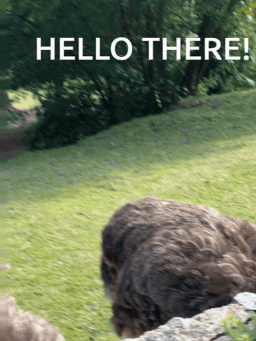 A Blurred Image Of A Sheep With The Words Hello There Written Above It GIF