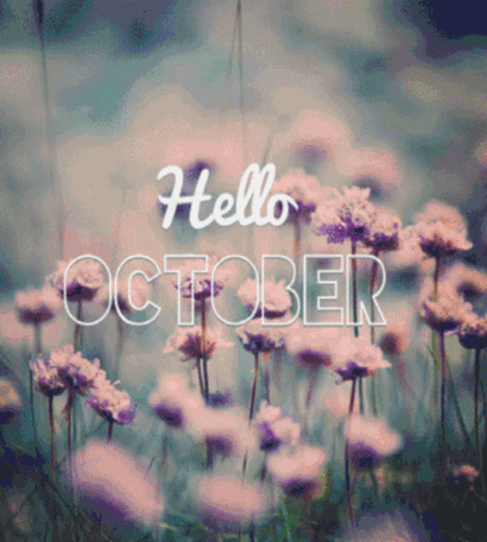 A Blurred Image Of Flowers With The Words Hello October GIF