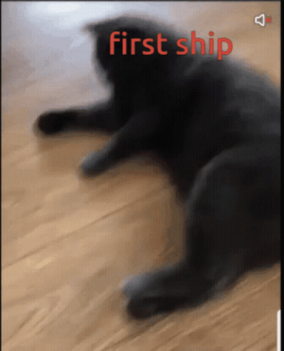 A Blurry Picture Of A Black Cat With The Words First Ship Visible GIF