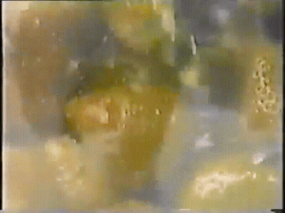 A Blurry Picture Of A Bunch Of Oranges On A Dark Background GIF