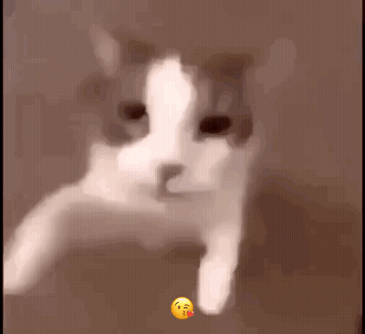 A Blurry Picture Of A Cat With A Smiley Face On It 'S Paw . GIF