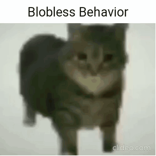 A Blurry Picture Of A Cat With The Words Blobless Behavior On It . GIF