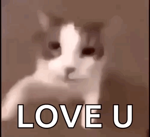 A Blurry Picture Of A Cat With The Words Love U Above It GIF