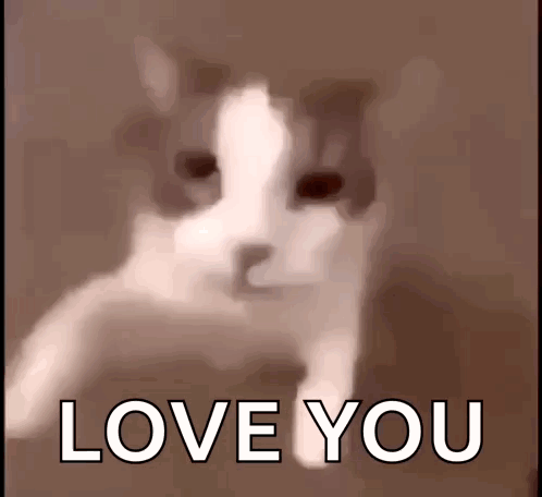 A Blurry Picture Of A Cat With The Words Love You On The Bottom GIF