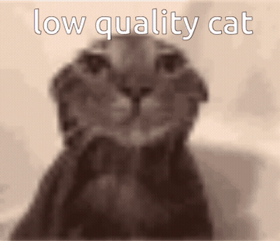A Blurry Picture Of A Cat With The Words Low Quality Cat Written Above It GIF