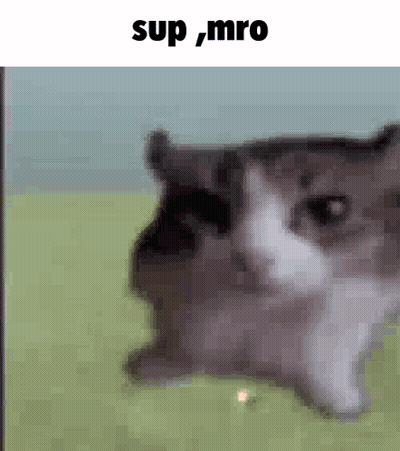 A Blurry Picture Of A Cat With The Words `` Sup Mro '' Written Above It . GIF