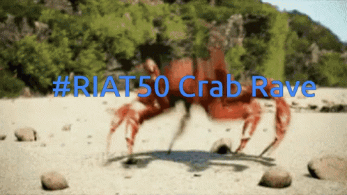 A Blurry Picture Of A Crab With The Words # Riat50 Crab Rave Behind It GIF