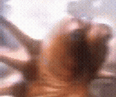 A Blurry Picture Of A Dog 'S Face With A Blurred Background GIF