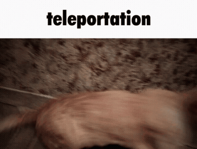 A Blurry Picture Of A Dog With The Words Teleportation Above It GIF