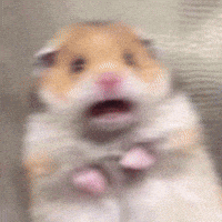 A Blurry Picture Of A Hamster With Its Mouth Open And Its Eyes Closed . GIF
