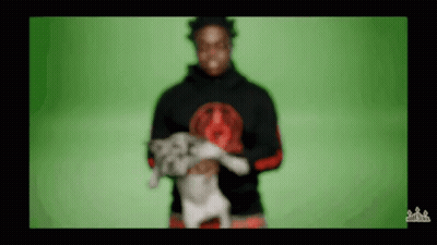 A Blurry Picture Of A Man Holding A Dog With A Green Screen Behind Him GIF