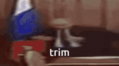 A Blurry Picture Of A Man In A Suit And Tie With The Word Trim Written In The Corner . GIF