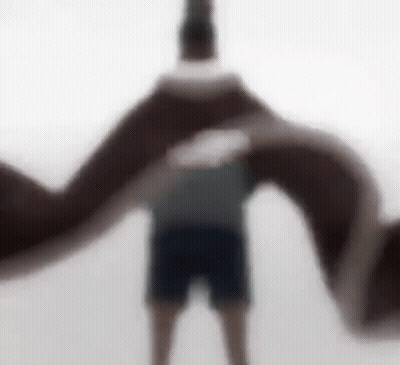 A Blurry Picture Of A Man Standing In Front Of A Giant Snake . GIF