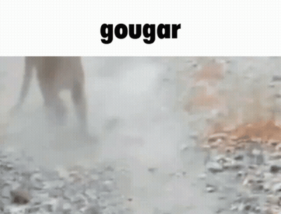 A Blurry Picture Of A Monkey Standing In The Dirt With The Word Gougar Above It . GIF