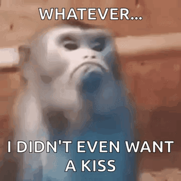 A Blurry Picture Of A Monkey With A Caption That Says `` Whatever ... I Didn 'T Even Want A Kiss '' GIF
