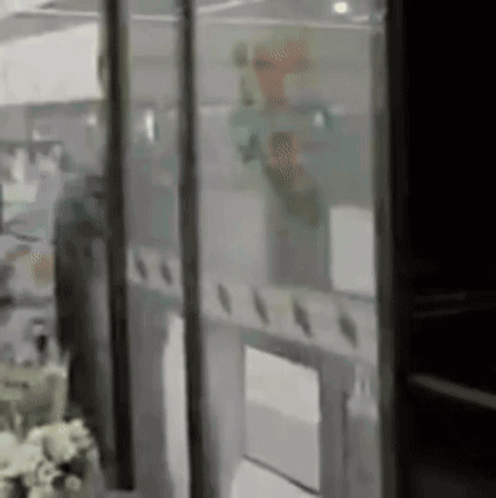 A Blurry Picture Of A Person Behind A Glass Door In A Room . GIF