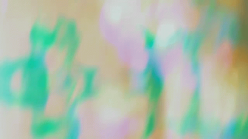 A Blurry Picture Of A Person Holding A Cat In Their Arms GIF