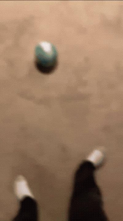 A Blurry Picture Of A Person Playing With A Ball On The Floor . GIF