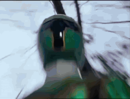 A Blurry Picture Of A Person 'S Face With A Duck 'S Head In The Foreground GIF