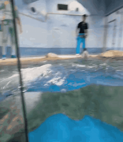 A Blurry Picture Of A Person Standing In A Pool GIF