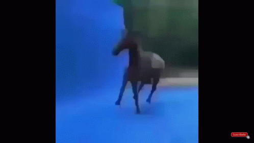 A Blurry Picture Of A Pool With A Red Subscribe Button GIF