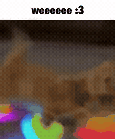 A Blurry Picture Of A Rainbow Colored Object With The Words Weeeee : 3 Below It GIF