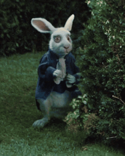 A Blurry Picture Of A White Rabbit Wearing A Blue Dress GIF